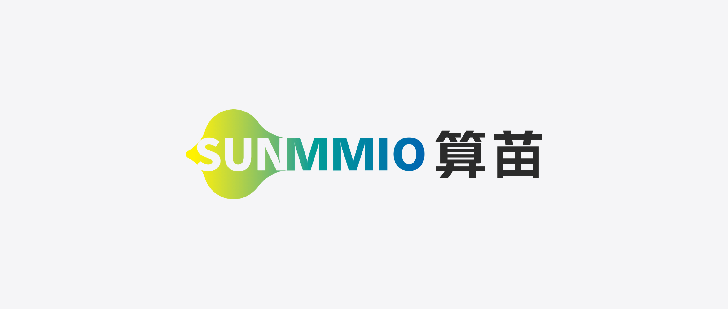 Китайский стартап SUNMMIO привлёк раунды Pre-A2 и Series A на чипы ИИ