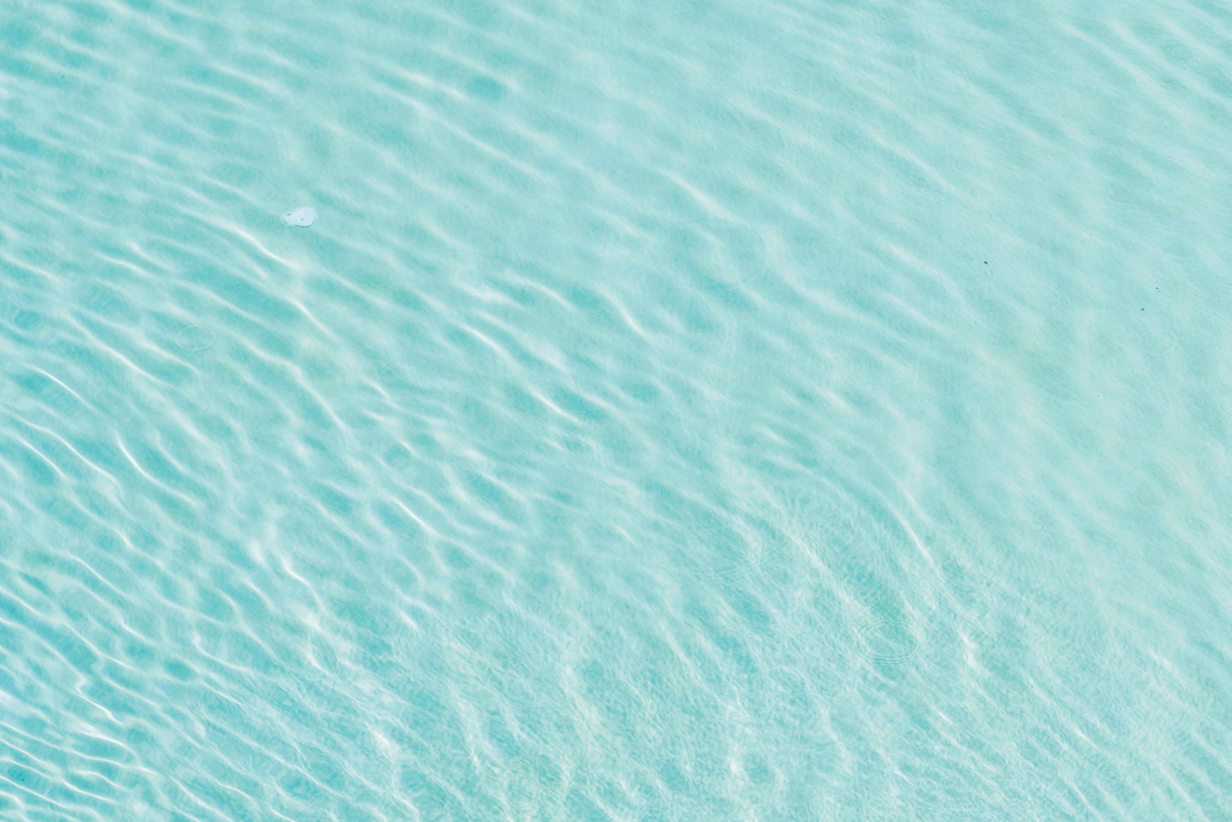 La Perla