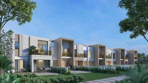 Native Haus