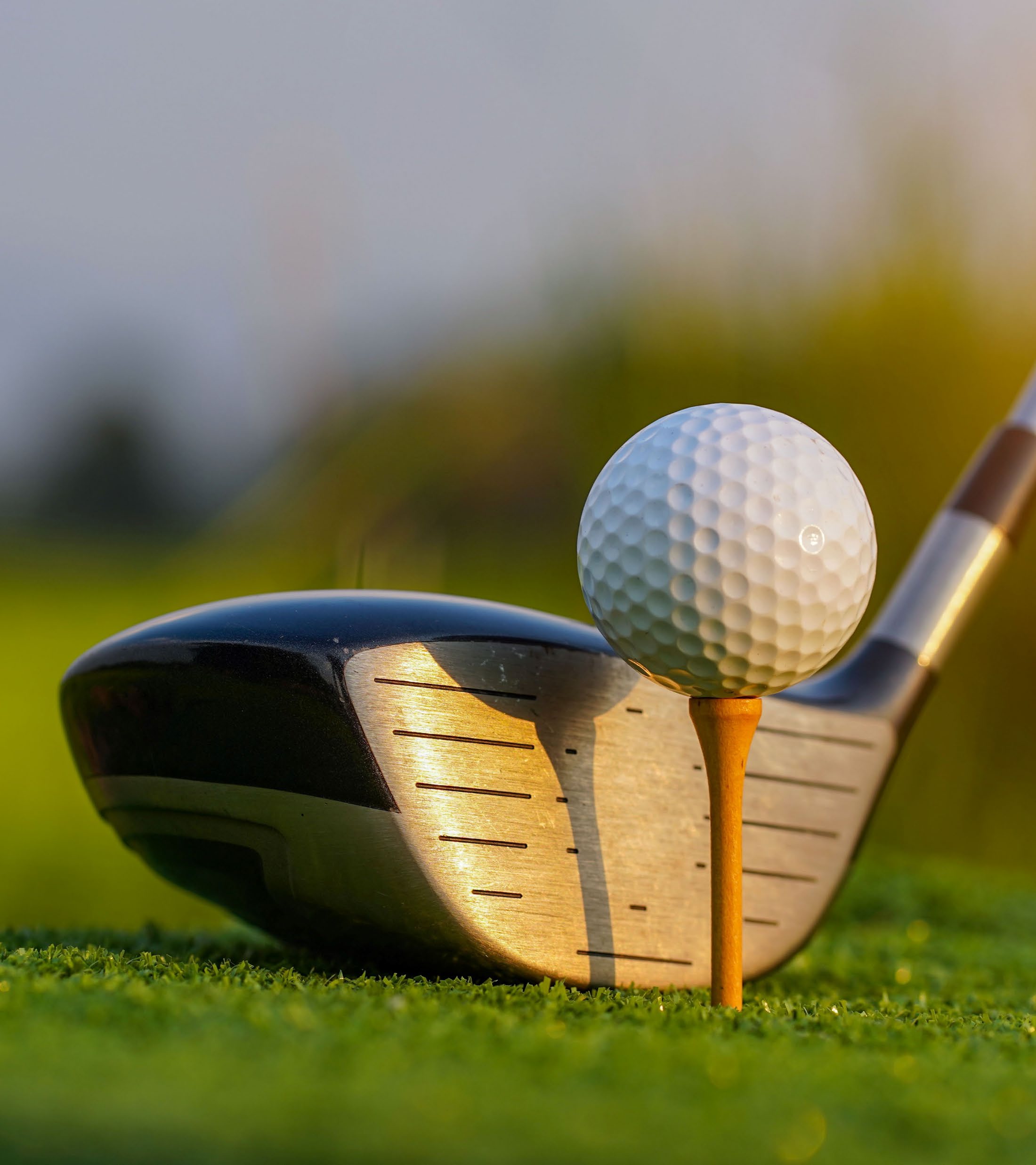 Terra Golf Collection Phase 2 3