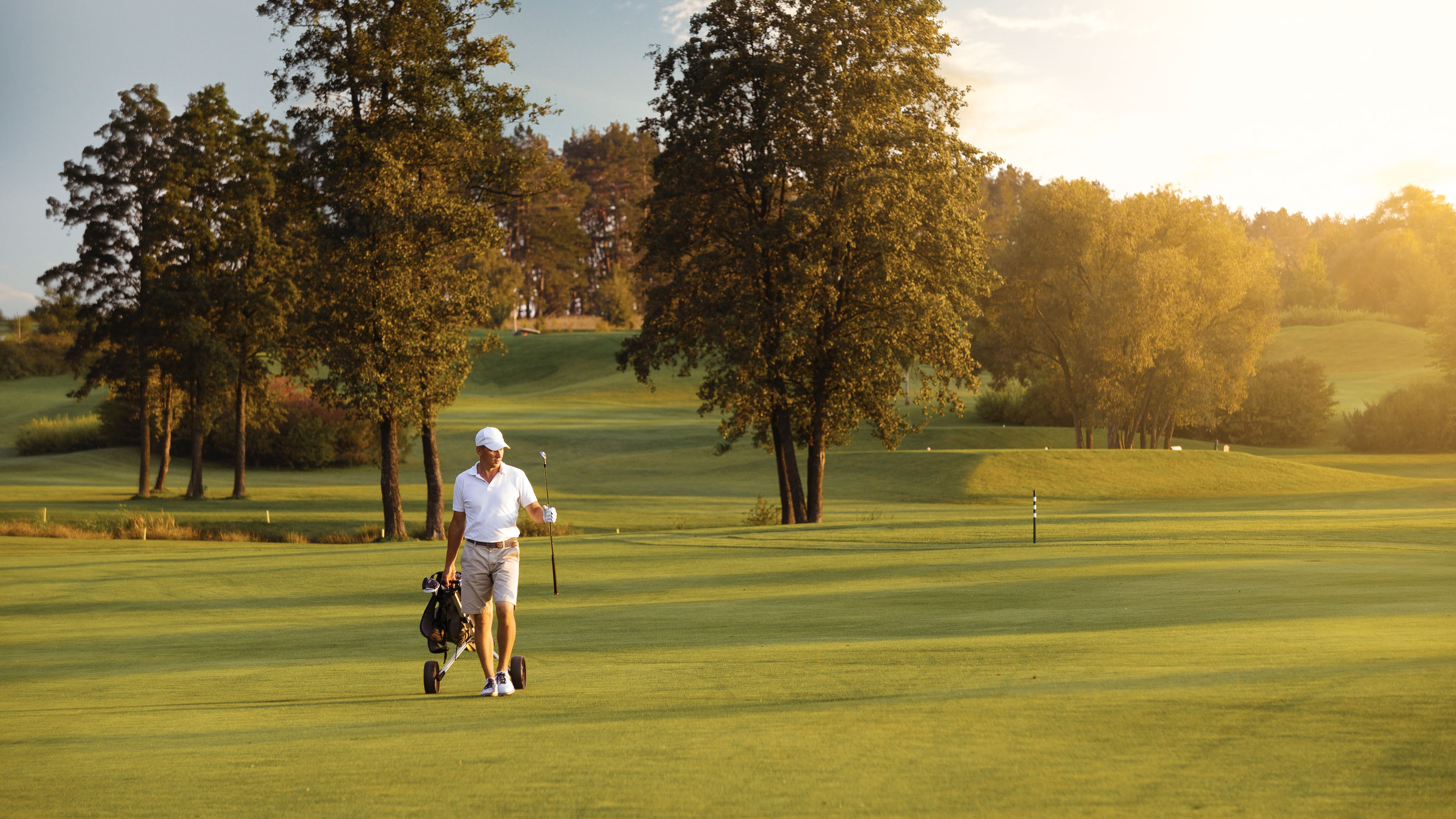 Terra Golf Collection Phase 2 5