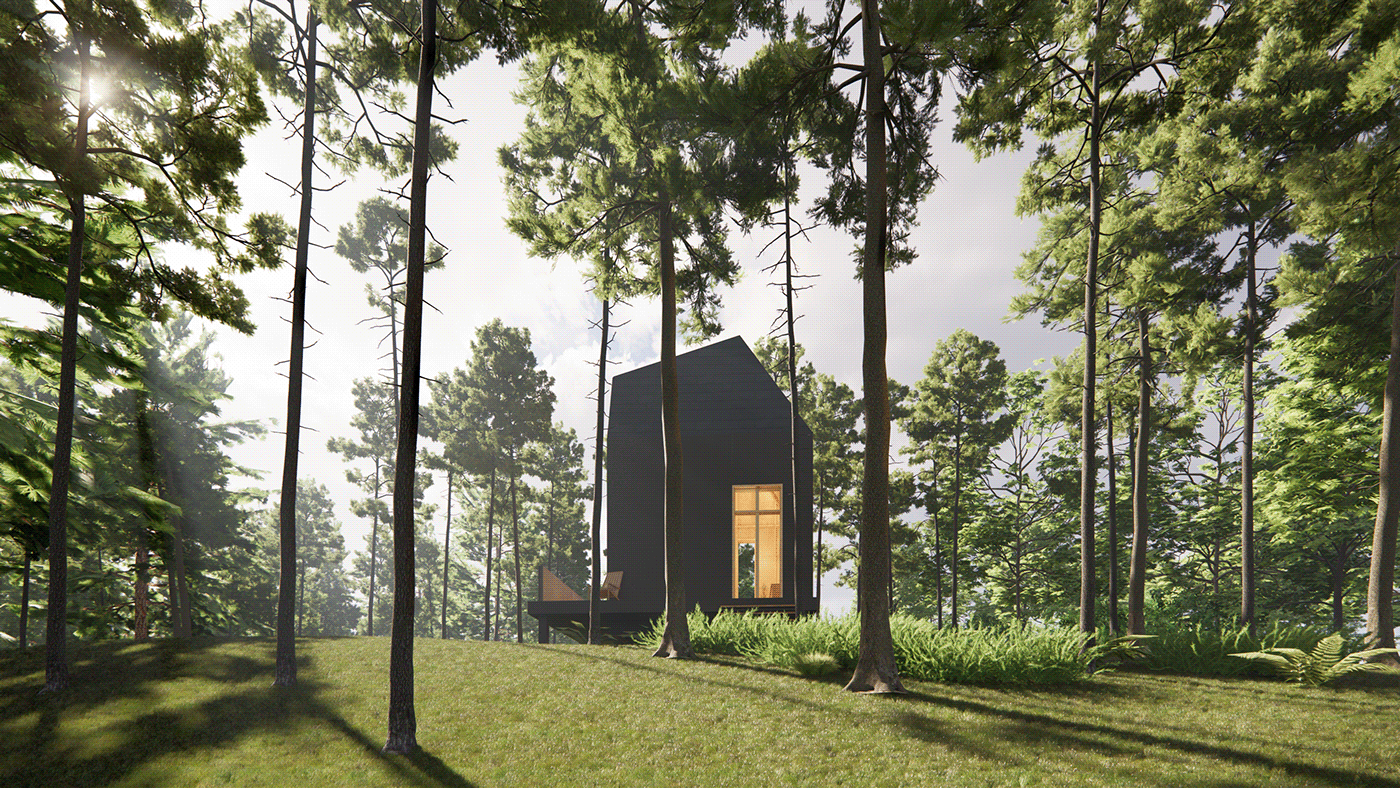 The Woods Retreat 2