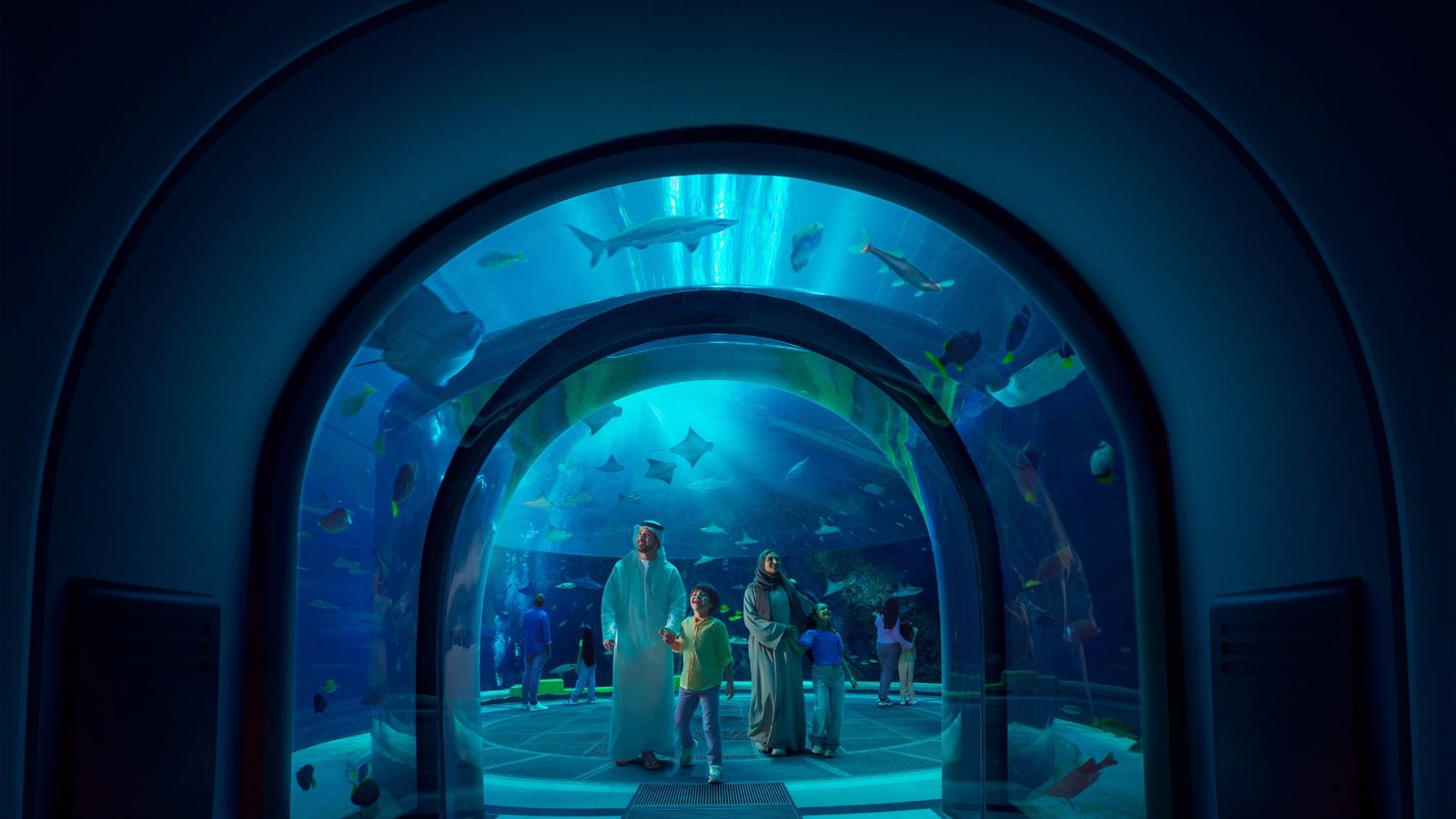 SeaWorld Abu Dhabi · ночной аквариум-тур