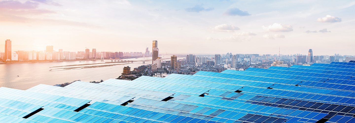 World Green Economy Summit