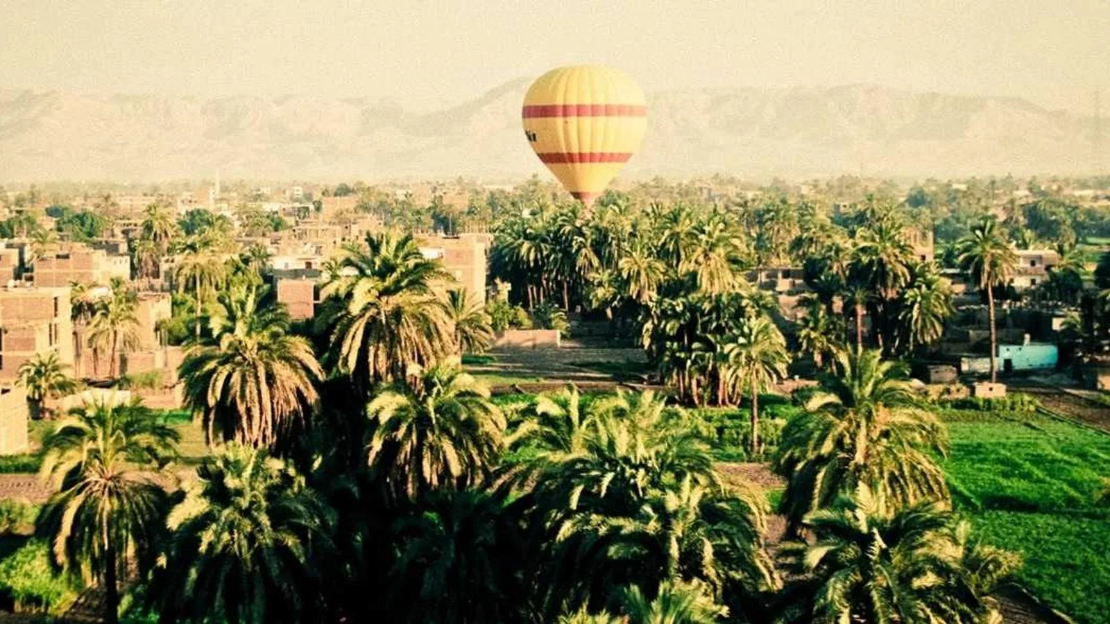 Абу-Даби примет первый турнир RAF: Чимаев против Ковингтона 14 ноября