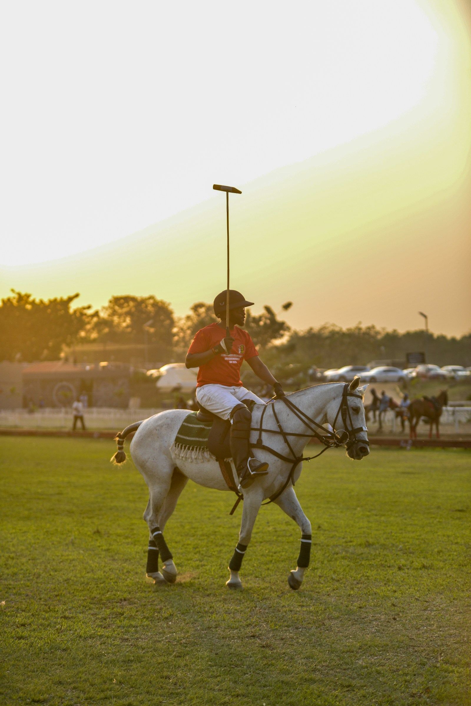 Al Habtoor Polo Club · Friday Match